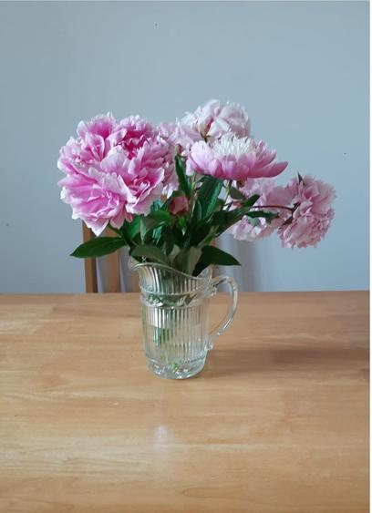 Beautiful pink peonies in a glass jug.