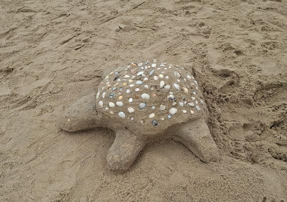Schildkröte aus Sand, Panzer mit Muscheln dekoriert