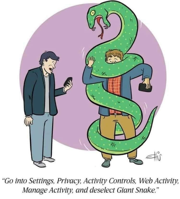A cartoon of two men standing next to each other holding their cell phones. A giant constrictor snake is wrapped around one of them. The other man is saying " Go into settings, privacy, activity controls, Web activity, and deselect giant snake."