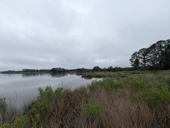 Photo of a grey drizzly humid morning on Harris Creek, sun is behind a low grey cloud deck, bright in thinning patches. Marsh is riotously green. Creek water is rippled with small waves and raindrops.