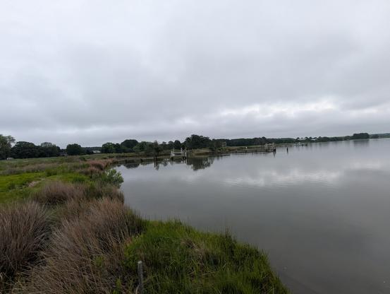 Photo of a grey drizzly humid morning on Harris Creek, sun is behind a low grey cloud deck, bright in thinning patches. Marsh is riotously green. Creek water is rippled with small waves and raindrops.