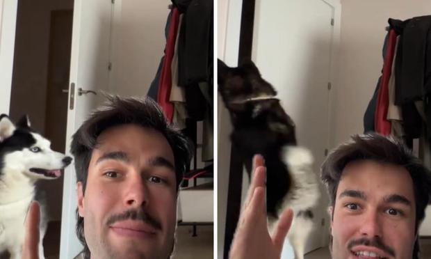 Captura de pantalla de TikTok (Tik Tok: @peldanyos)