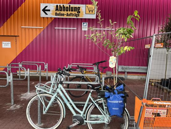 An outdoor area with a brightly colored wall featuring an "Abholung Online-Aufträge" sign. Several bicycles are parked near metal bike racks. A small tree is placed in a bag on one bicycle, and there is a shopping cart nearby.