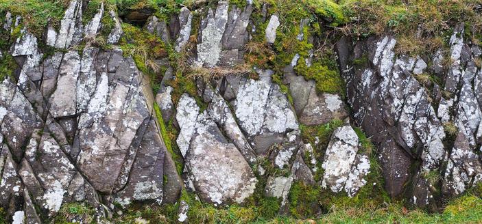 Rock exposure with numerous cross-cutting cracks, decorated with pale lichens and bright mosses.