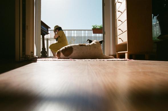 M und Nanuk genießen einen heißen Sommertag mit frischer Luft vom Balkon und wohligen Sonnenstrahlen.