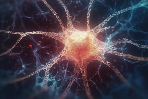 La molecola Hevin cancella 20 anni di invecchiamento cerebrale