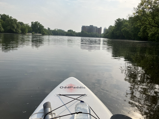 The tip of a white paddle board named “odd paddle “ pointing to a city skyline with trees lining the river banks. Slightly windy rippling the water surface.