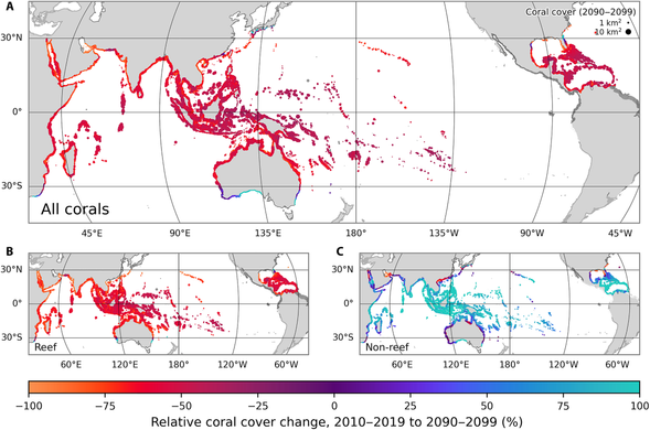 Marker colors represent the mean relative change in coral cover from 2010-2019 to 2090-2099 under SSP2-4.5 across all ensemble members in CERES for (A) all, (B) reef, and (C) nonreef coral. Sites are scaled by the absolute coral cover between 2090 and 2099.