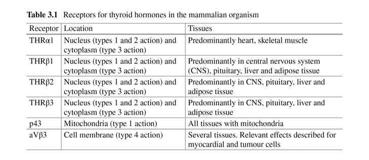 Table from the book "Hypothyroidism – a Paradigm Shift" by Hoermann and Dietrich: Four receptor types (THRalpha1, THRbeta1, THRbeta2, THRbeta3, p43 and alphaVbeta3) convey thyroid signals in different tissues.