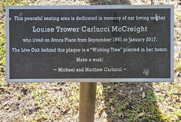 Close up of metal plaque next to an oak tree: 
"This peaceful seating area is dedicated in memory of our loving mother
Louise Trower Carlucci McCreight 
who lived on Avoca Place from September 1951 to January 2017. The Live Oak behind this plaque is a "Wishing Tree" planted in her honor. 
Make A Wish
- Michael and Matthew Carlucci