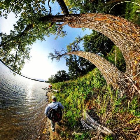 One of a series of photographs in which two people are pictured hiking, biking, and kayaking throughout a beautiful and verdant state park in central Minnesota under cloudy blue late-summer skies.