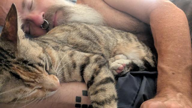 Sleeping man and sleeping cat. The cat is a small tabby cat. The man has a beard and a septum piercing. A tattoo of a Game of Life glider is visible.