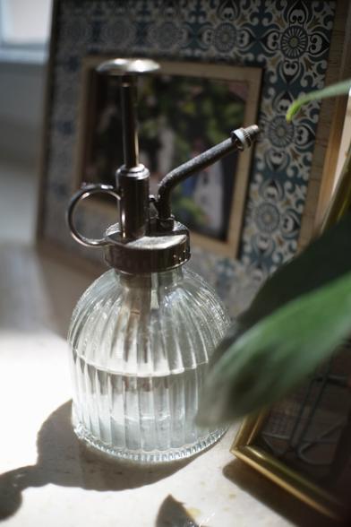 Close-up of a vintage-style glass plant mister with a metal pump, sitting on a sunlit surface near a leafy plant. In the background, there's a decorative tile-patterned photo frame with a blurred image inside.