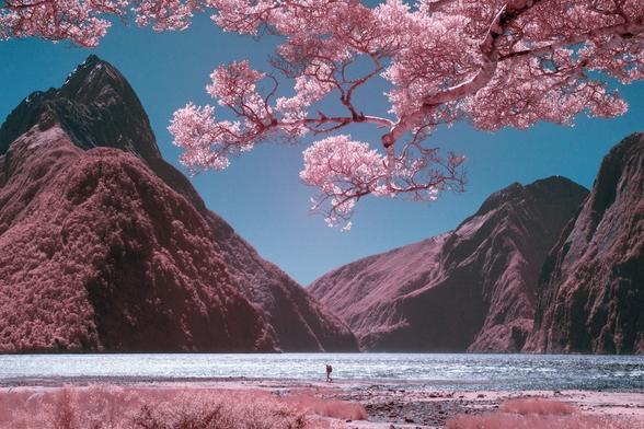 de -magnifiques-images-de-Nouvelle-Zelande-en-infrarouge-par-Paul-Hoi-1