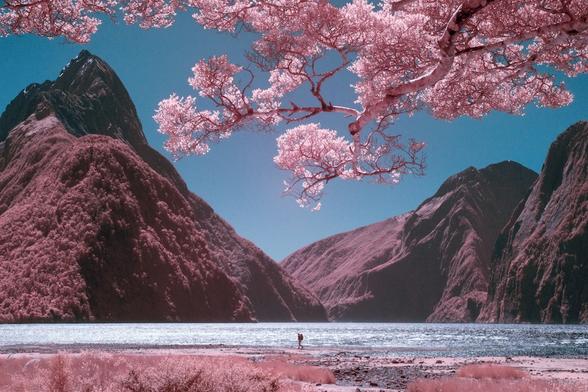 de -magnifiques-images-de-Nouvelle-Zelande-en-infrarouge-par-Paul-Hoi-1