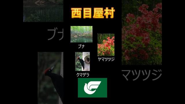 日本の市町村紹介～青森県西目屋村～ #青森県 #青森#西目屋村 #西目屋 #暗門滝 #滝