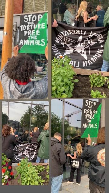 collage met 4 foto's
activisten houden 2 borden omhoog in eco-anarchist kleuren zwart groen met witte letters 'stop the torture free the animals' op de achterkant, van achteren gezien. Demonstranten voor de ramen van restaurant met zwart witte vlagL animal liberation, human liberation. Een megafoon wordt bij mond vast gehouden en een flat screen tv met beelden van dwang gevoerde gansen die de mensen in het restaurant aan tafel zittend kunnen zien. je ziet wat plantenbakken