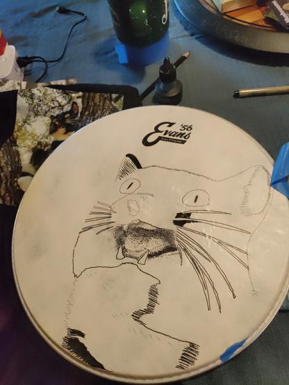 Image of a snare drum head (EVANS Calf Tone). The cat picture has been cropped to the cat's face and transferred to the drum head. The inking of the image is in progress - mostly outline.