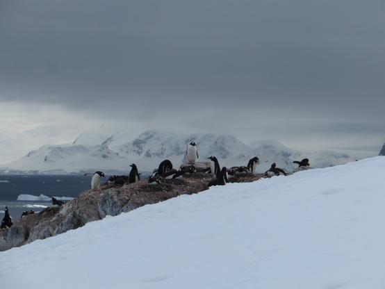 “There are in life a few moments so beautiful,that even words are a sort of profanity.”
― Diana Palmer