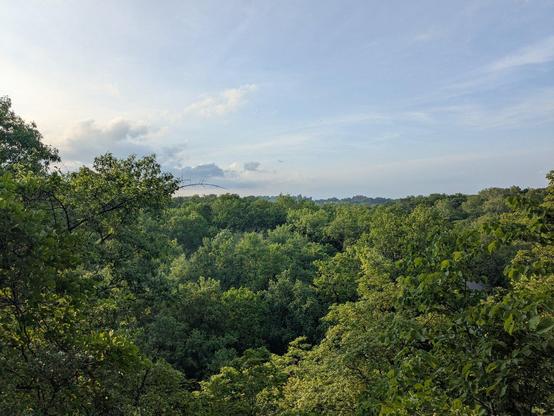 A photo from a scenic overlook.  Trees in the near and far distance. Buildings faintly visible in the distance. Sky is blue with slight pink hues.