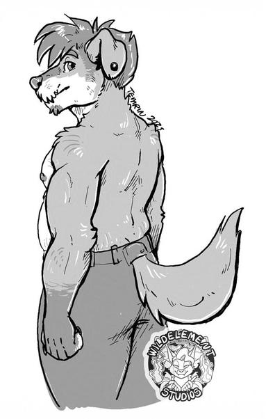 A dog anthro character standing, facing slightly away from the viewer but looking over his shoulder at you calmly. He is thick, and buff, with a scruffy bit of fur on his muzzle looking like a beard, short cropped hair but just long enough for it to be a bit spikey. Floppy dog ears with a piercing/plug near the tip. He's wearing some pants, that have a built in hole for his tail, that is short and fluffy. The artwork shows him from the hip-up and is in grayscale using the Supernote e-ink device.