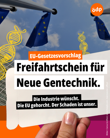 Die EU öffnet der neuen Gentechnik Tür und Tor – zulasten von Umwelt und Verbraucherschutz.
Die Grafik ist als Collage aufgebaut: Zu sehen sind mehrere stilisierte EU-Flaggen, abstrahierte DNA-Stränge und ein symbolischer Freifahrtschein – ein Bildmotiv, das für freie Bahn für neue Gentechnik steht.
Text im Balken Gesetzesvorschlag: „EU-Gesetzesvorschlag: Freifahrtschein für Neue Gentechnik.“
Darunter folgt: „Die Industrie wünscht. Die EU gehorcht. Der Schaden ist unser.“
Magenta Hintergrund, ÖDP-Logo rechts oben.
Bildquellen: Canva; Grafiken: www.freepik.com. „EU-Gesetzesvorschlag: Freifahrtschein für Neue Gentechnik.“