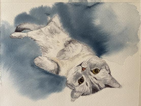 A fluffy cat lies on its back with its paws tucked in and head tilted upside down, gazing directly outward with a relaxed and curious expression, surrounded by a soft, cloud-like background.
