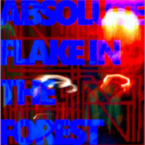 Absolute Flake In The Forest by Sunburned Hand of the Man LP cover