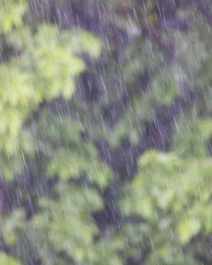 Regen fällt