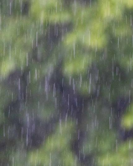 Regen fällt