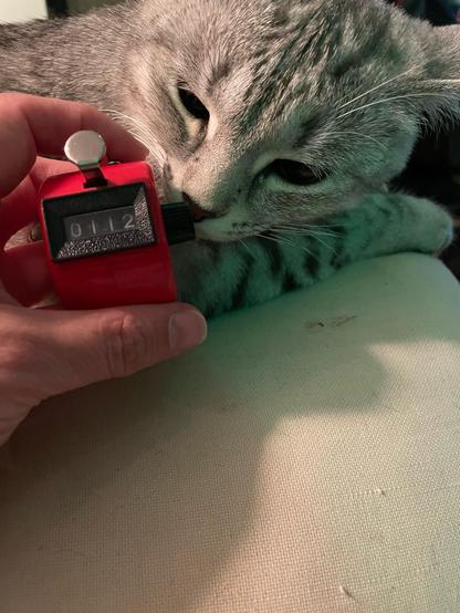 Foto einer silbergrauen Katz, die an einem Rote Pfeilezähler schnüffelt. Der zeigt die Anzahl 112 an.