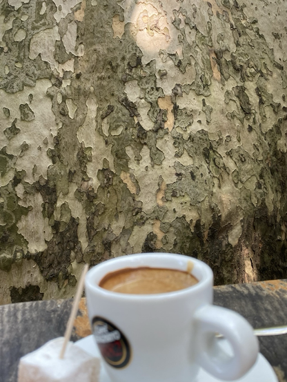 coffee and tree bark