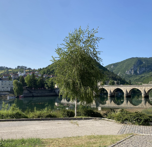 a young birch, an old stone bridge, green river and hills and a city