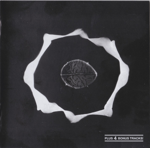 Epidermis — Genius of Original Force cover art