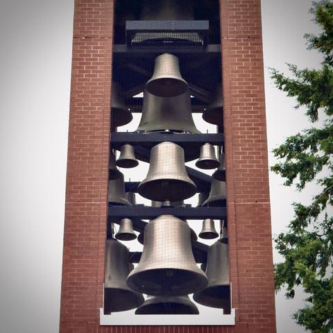 Numerous brass bells of different sizes hang in a thin, red brick tower next to a tree on an overcast day.