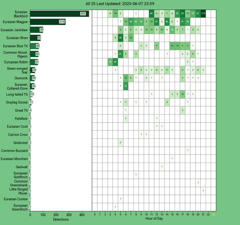 Today's top 20 bird chart
