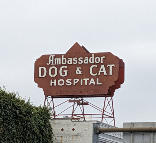 Sign in a fifties style: Ambassador dog & cat hospital
