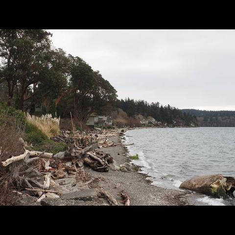 Photo by Neil E. Hodges on March 09, 2021. May be an image of nature, body of water and tree.