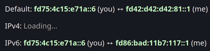 Default: fd75:4c15:e71a::6 (you) ↔ fd42:d42:d42:81::1 (me)

IPv4: Loading...

IPv6: fd75:4c15:e71a::6 (you) ↔ fd86:bad:11b7:117::1 (me)