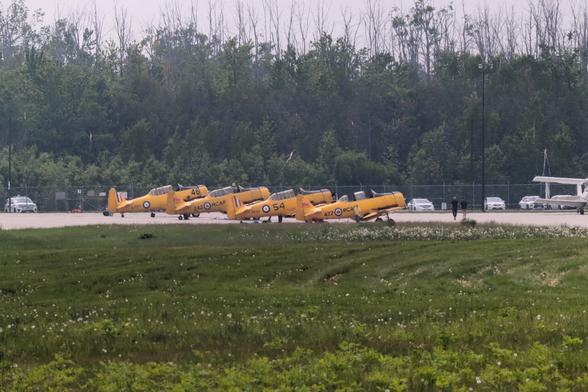 Four North American Harvard aircraft which are yellow propeller powered monoplanes.