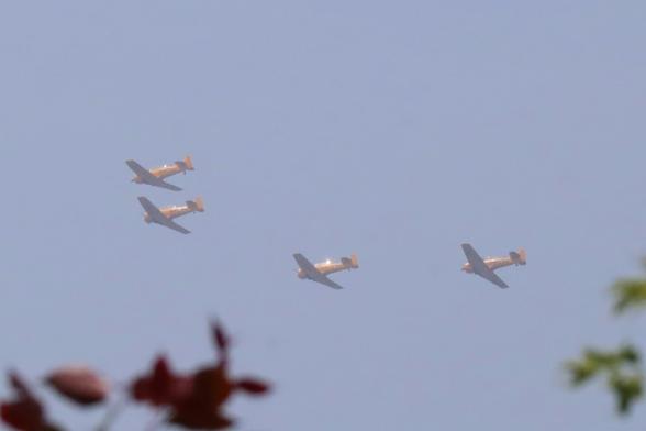Four North American Harvards flying in formation.