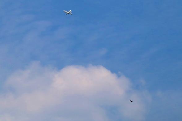 Bi-Plane flying away in formation with a bird.