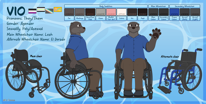 A digitally draws character reference sheet for Vio the otter, drawn in a cartoony style with no shading. The character art shows Vio from the front and side sitting in a black wheelchair. They have brown fur, wear a blue shirt and long brown pants. In the side view drawing, they have both hands on their wheels, but in the front view one, they are waving with their left hand. To the left of the character drawings is a more detailed image of the wheelchair they are sitting in, which is labelled "main chair". It is a rigid frame active chair with a low backrest and no push handles. To the right is another wheelchair, this one a foldable wheelchair with a high backrest and static push-handles. It is blue with dark grey accents and it is labelled "Alternate chair". Above the illustration of the main chair is the character bio, which reads "Vio. Pronouns: They/them. Gender: Agender. Sexuality: Poly/Asexual. Main Wheelchair Name: Leah. Alternate wheelchair name: El Dorado." There are also 4 pride flags beside Vio's name, The Asexual flag, The Agender Flag, The disability pride flag and the autism pride flag. Finally, above all the art is a line of colour swatches, with the palette for Vio separated from the palette for their two wheelchairs.