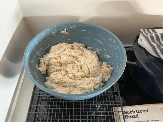 Just-mixed sourdough about to begin the bench-proofing process.