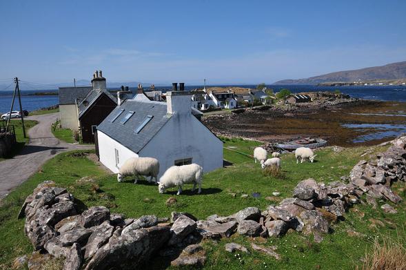 Ard-dhubh in Applecross. The image shows a view along a curving string of cottages that face a bay with the tide out on the right and the sea in the distance and on the left. There are sheep grazing on a grassy area on top of rocks in the foreground. The sky is blue.