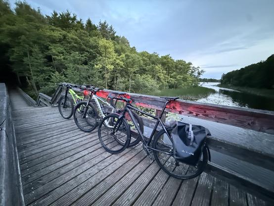 Drei Cannondale Fahrräder sind auf einer Holzbrücke mit Blick auf ein ruhiges Gewässer, umgeben von Bäumen, geparkt. Die Szene spielt in der Abenddämmerung, mit sanftem Licht, das vom Wasser reflektiert wird.