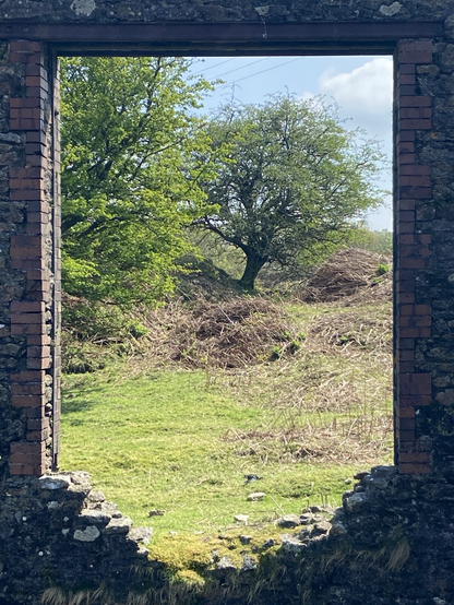 Looking through a bricked archway of an old Cornish tin mine, with a view of trees on moors.