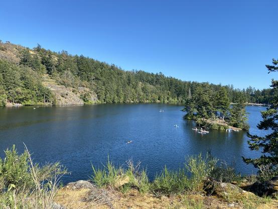 A view of an island in Thetis Lake, taken from the peak of a larger island in Thetis Lake. Trees, rocks, swimmers, on a warm and sunny day.