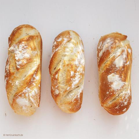Drei italienische Brötchen nebeneinander. Goldbraun und leicht bemehlt.