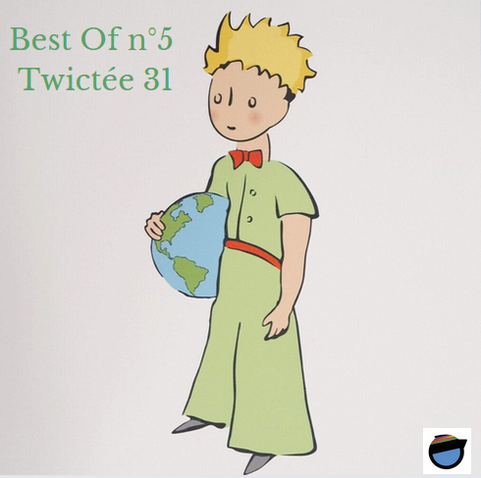 Le petit prince, vêtu de sa chemise et de son pantalon verts, d'un nœud papillon et d'une ceinture rouges, porte sous son bras droit un globe terrestre où l'on aperçoit le continent américain en vert, entouré du bleu des océans. 
Ce globe rappelle le thème de la cartographie de l'épisode dont il est question dans le message.
En haut, à gauche, il est écrit en vert : ''Best Of n°5 Twictée 31''.